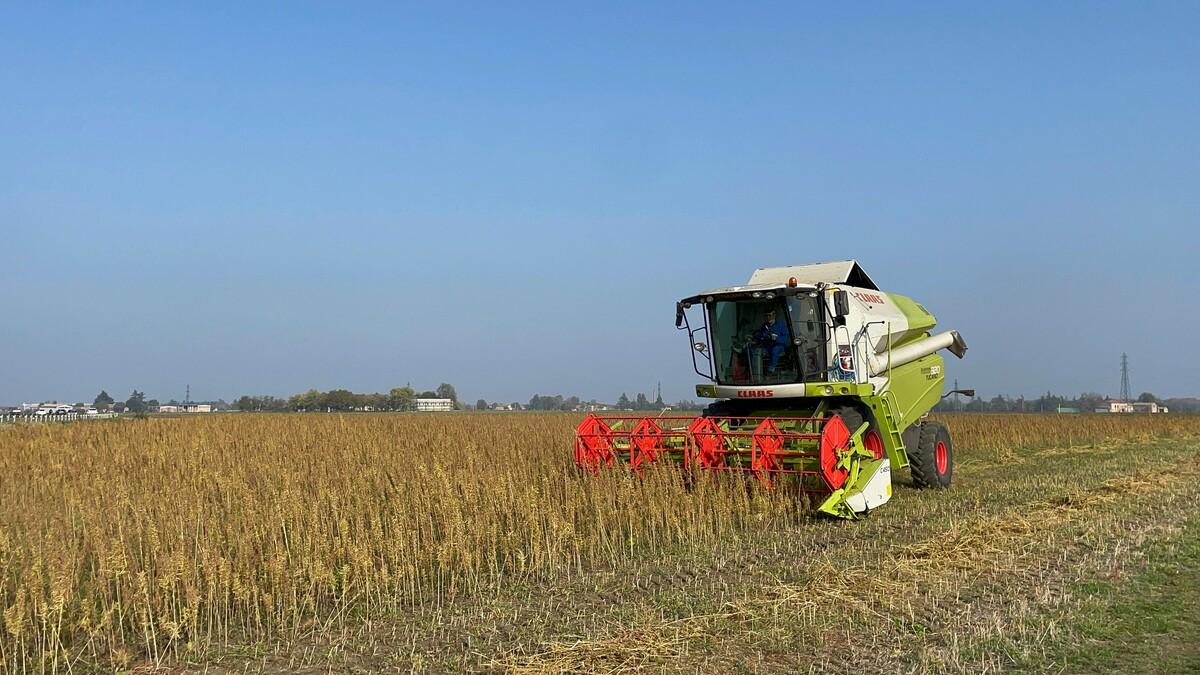 Assicurare una produzione in grado di adempiere alle esigenze industriali